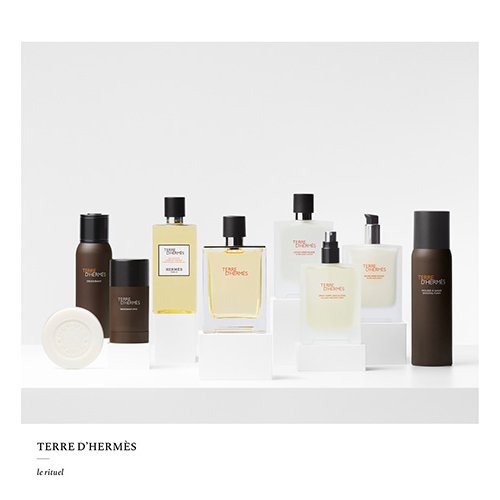 HERMÈS Terre d'Hermès - Eau de toilette 3346130009603 HERMÈS Terre d'Hermès - Eau de toilette 3346130009603
